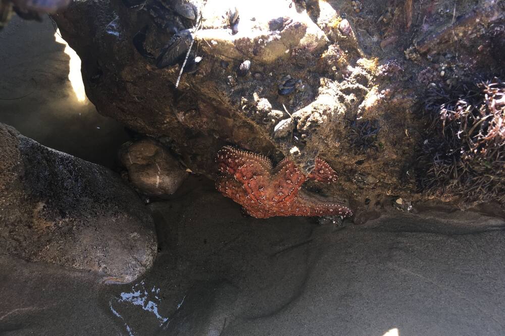 Photo of Others in Eastern Malibu