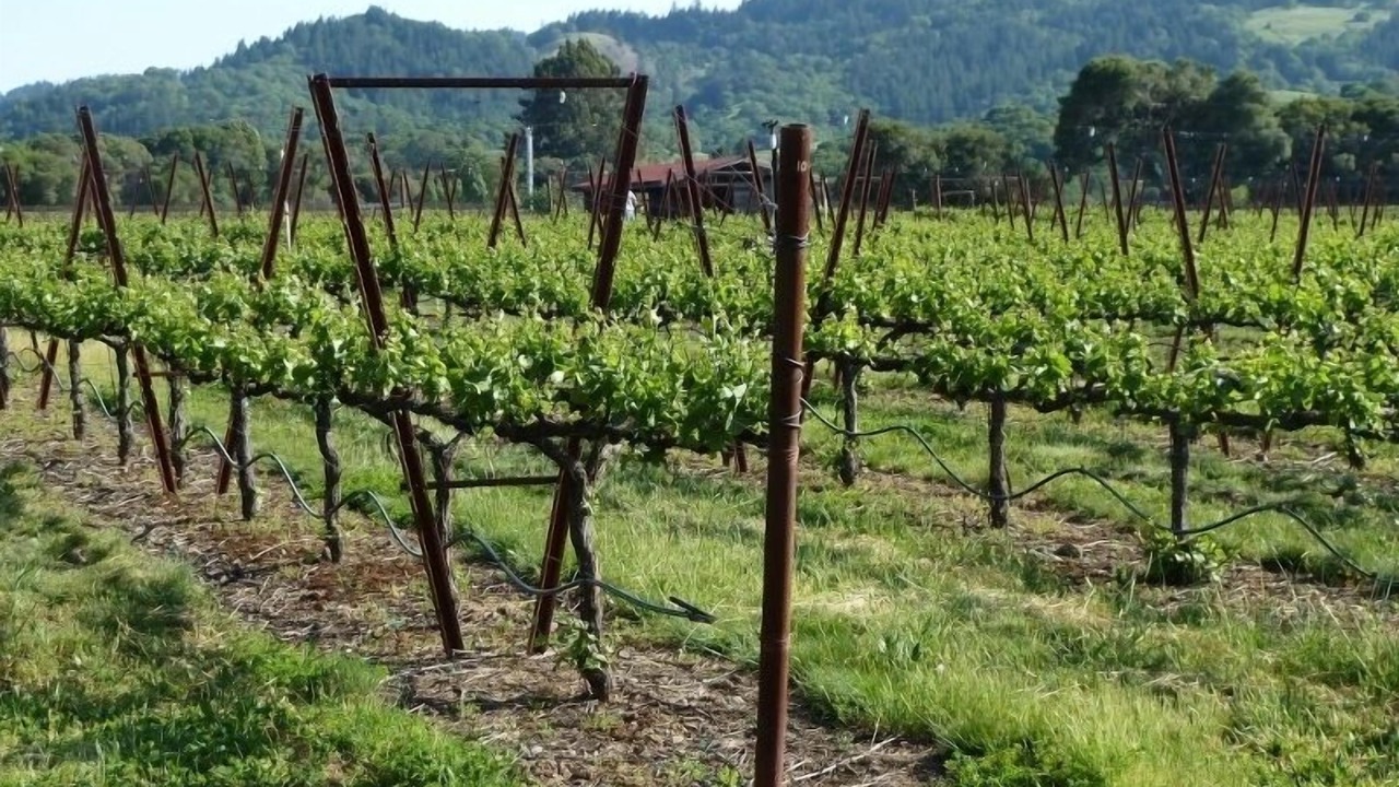 Photo of Outdoor in Boonville