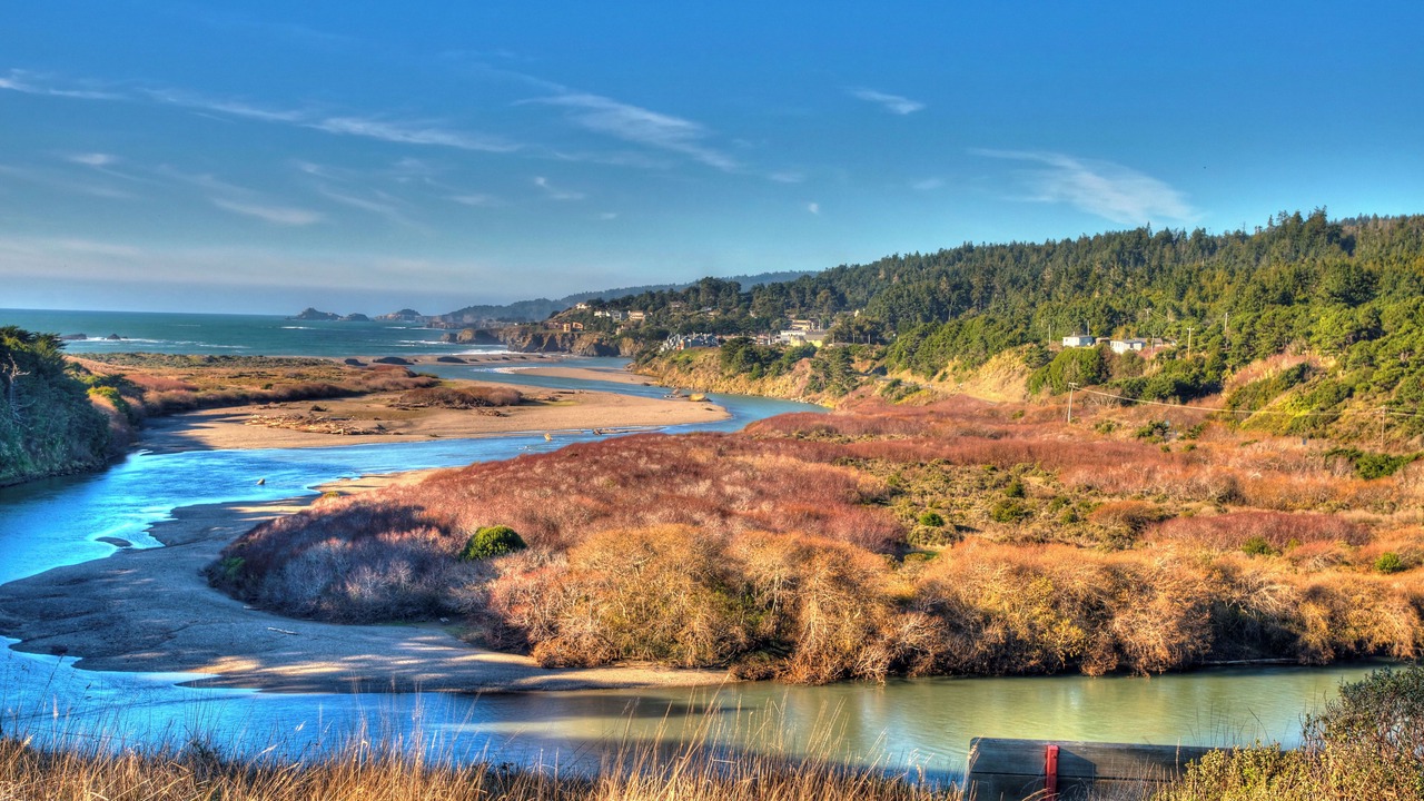 Photo of Others in Sea Ranch