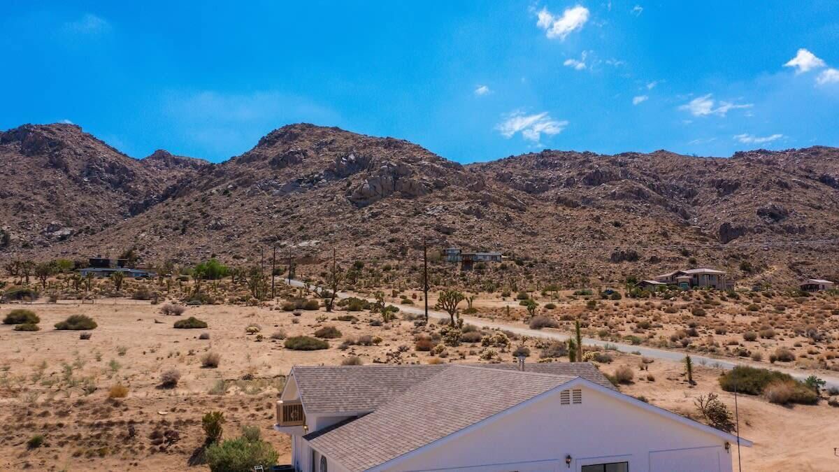 Photo of Others in Joshua Tree
