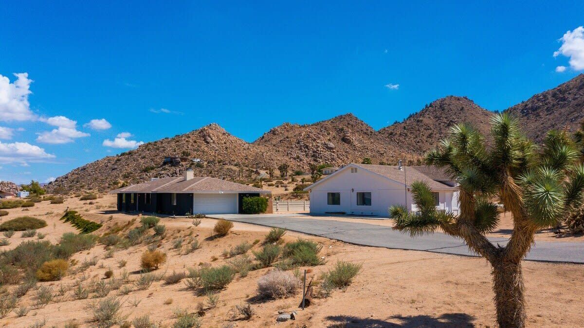 Photo of Others in Joshua Tree