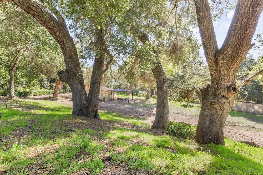 Photo of Outdoor in Fallbrook
