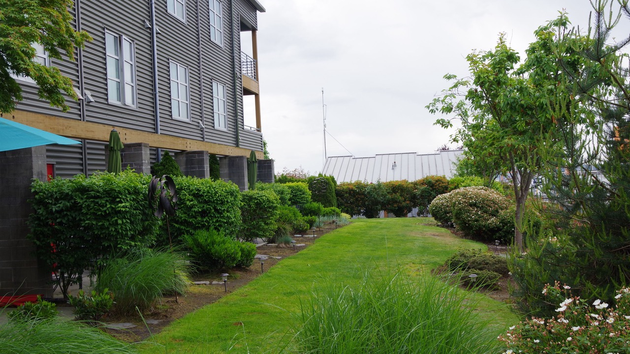 Photo of Outdoor in Northwest Everett