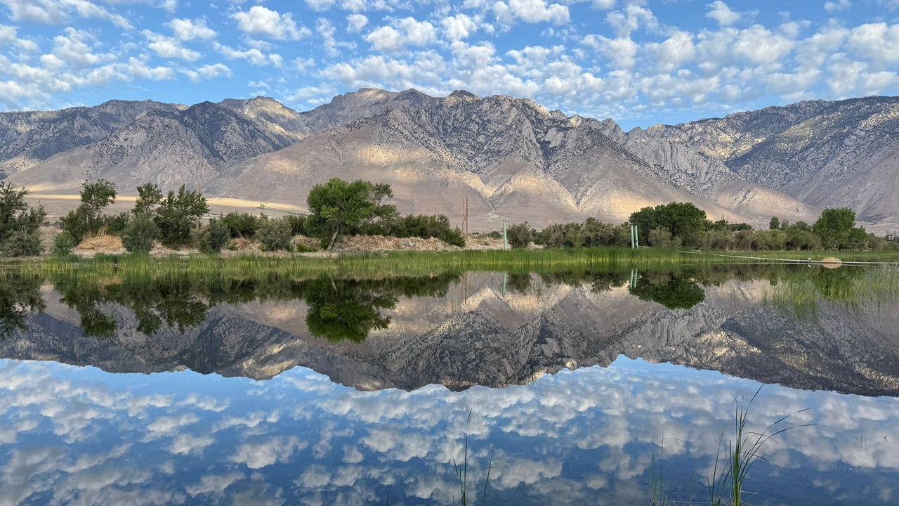 Photo of Others in Olancha