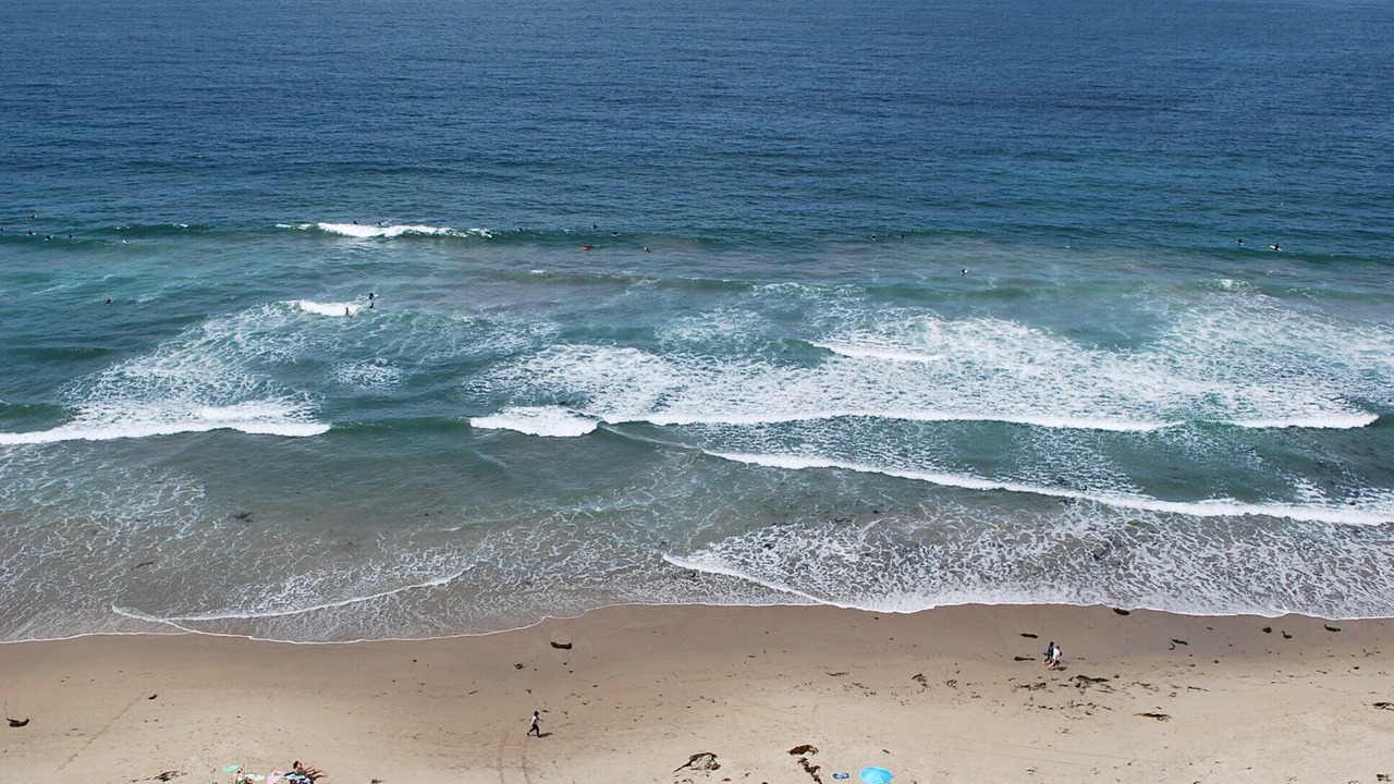 Photo of Others in North Pacific Beach