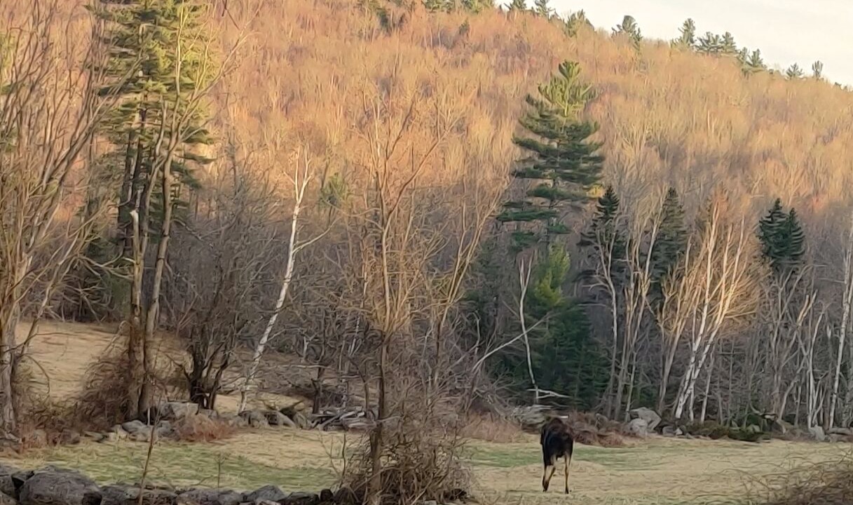 Photo of Outdoor in Washington