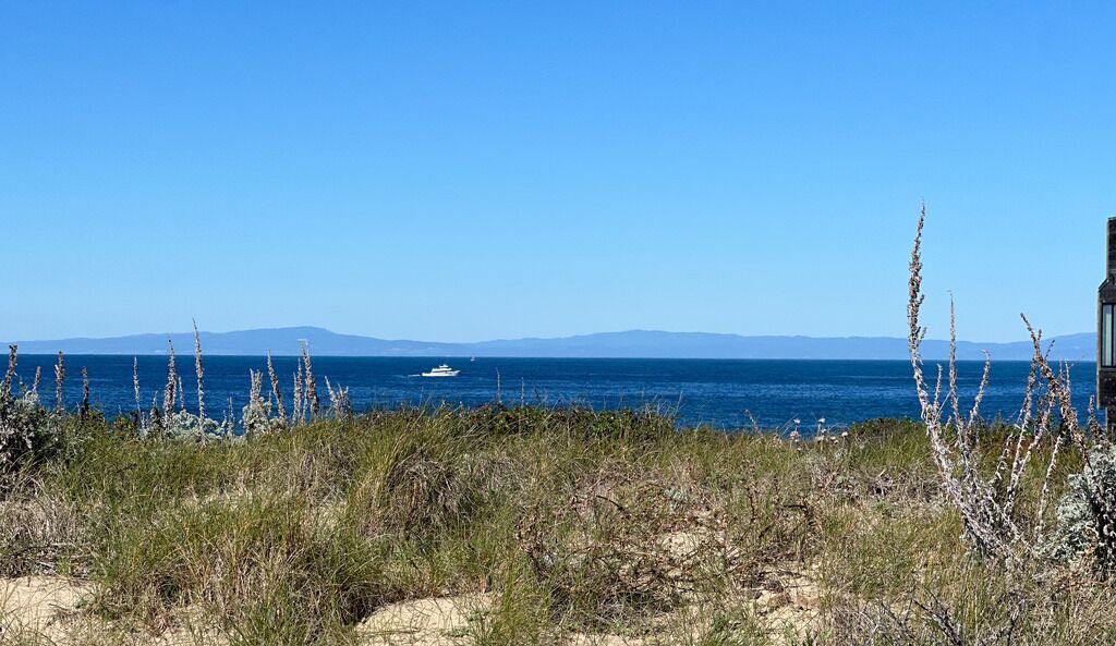 Photo of Others in Monterey
