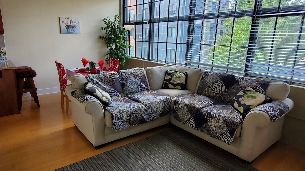 Photo of Livingroom in North Chesterfield
