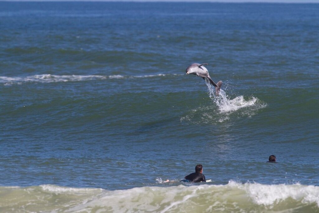 Photo of Outdoor in New Smyrna Beach