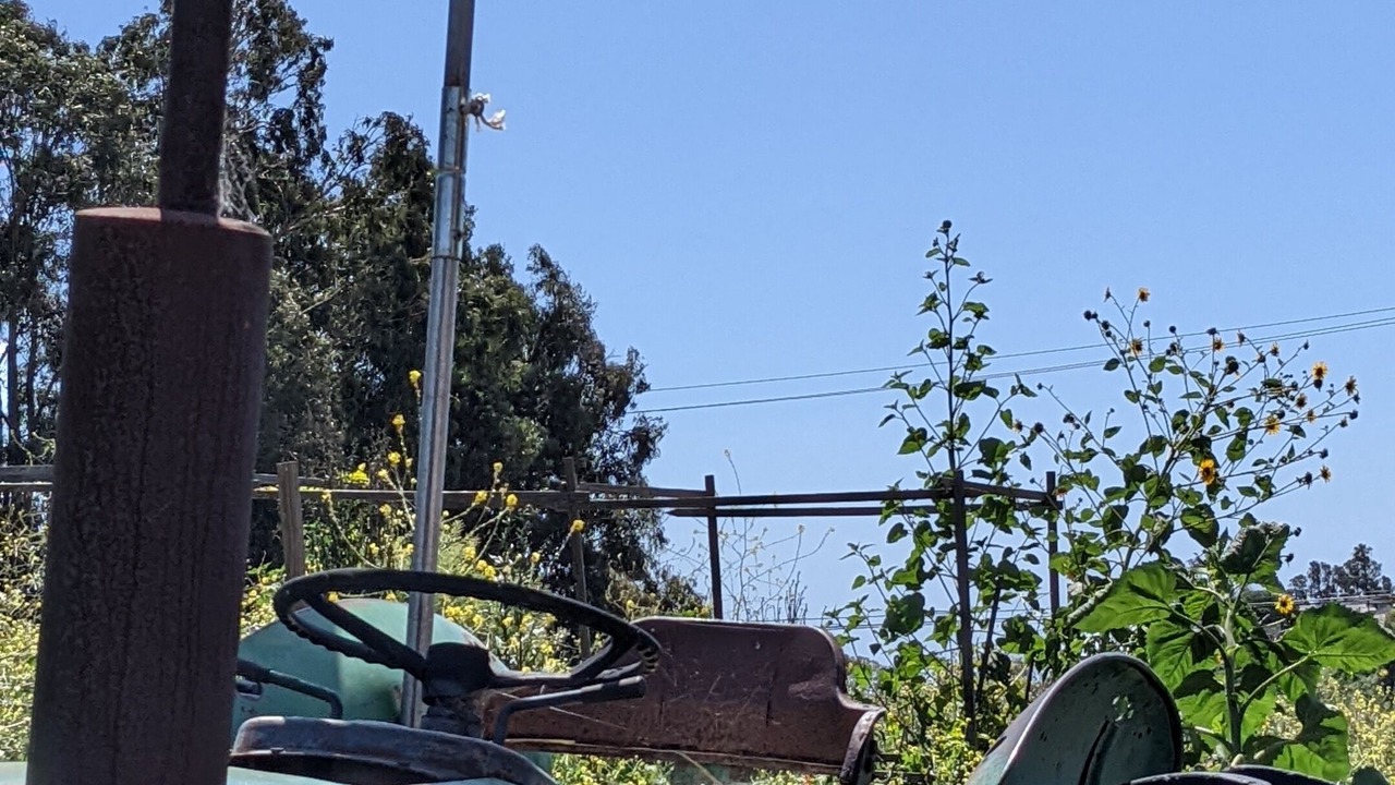 Photo of Outdoor in Central Malibu