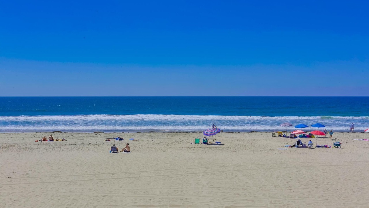Photo of Others in Mission Beach