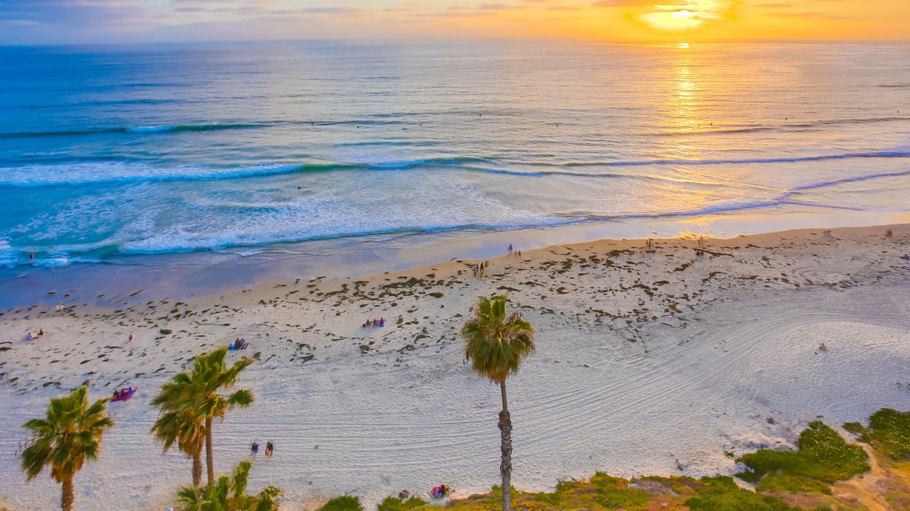 Photo of Others in North Pacific Beach