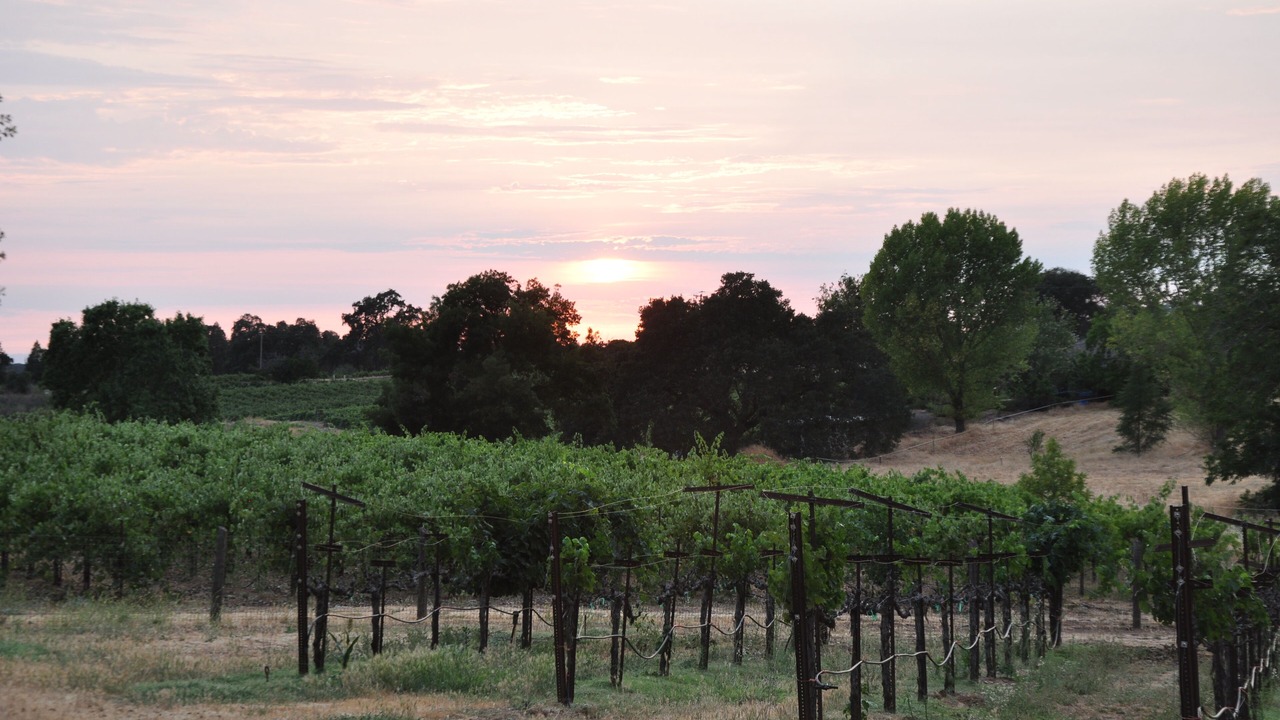 Photo of Outdoor in Shenandoah Valley