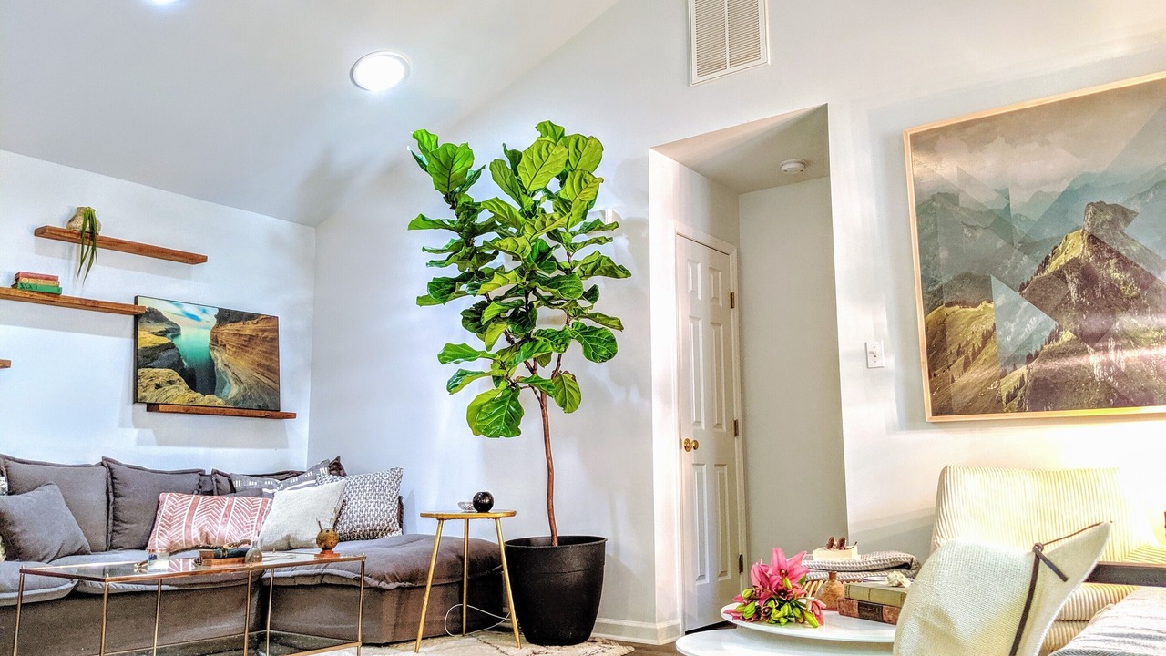 Photo of Livingroom in Matthews