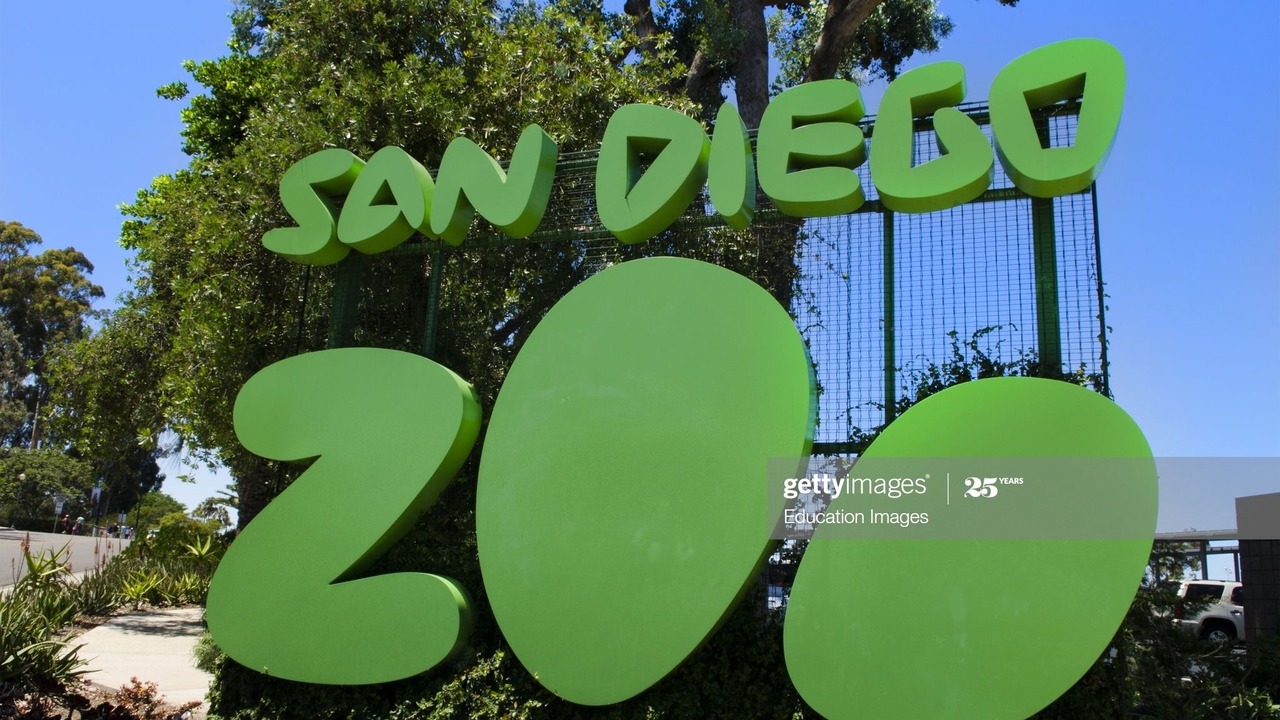 Photo of Outdoor in Mission Valley West