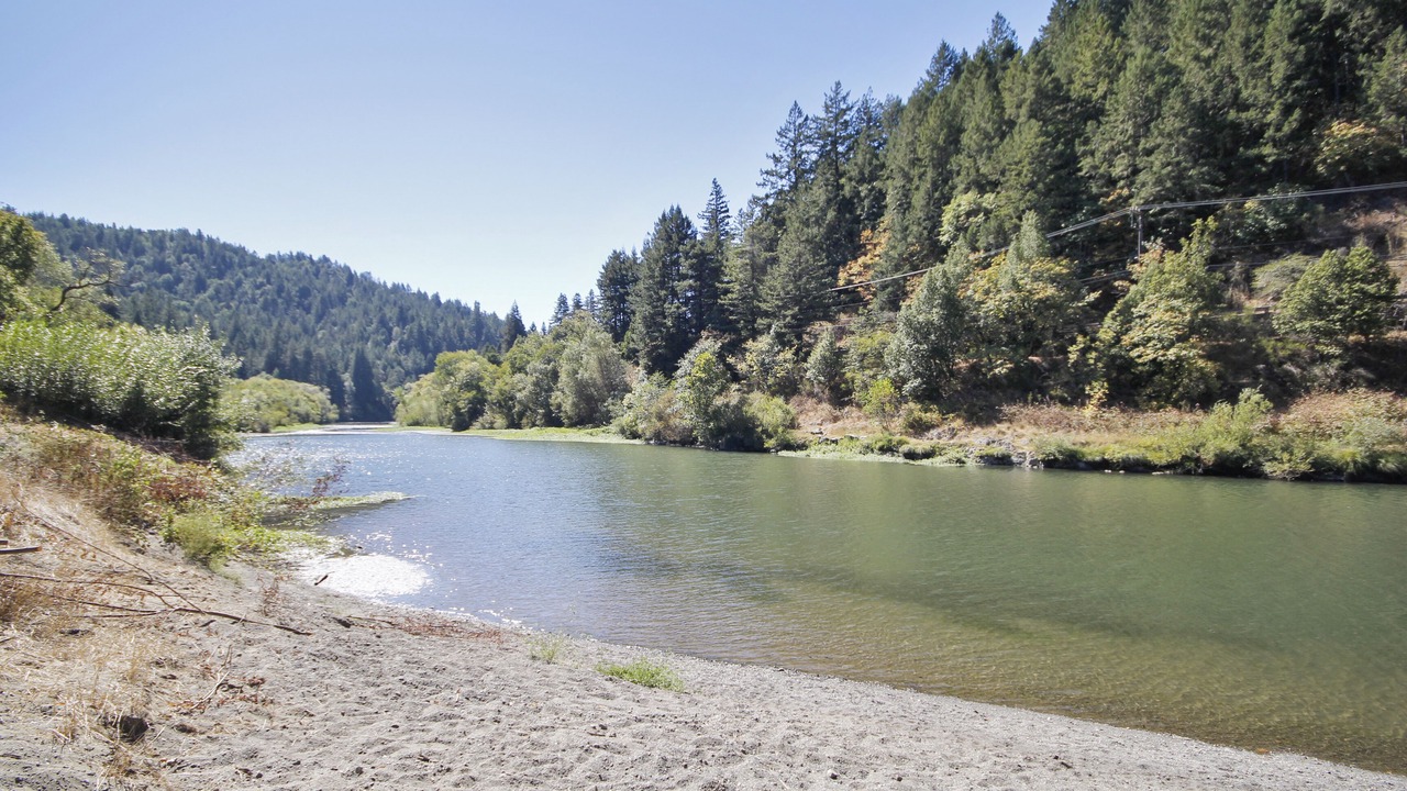Photo of Others in Guerneville
