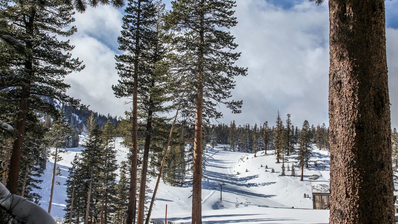 Photo of Others in Mammoth Lakes