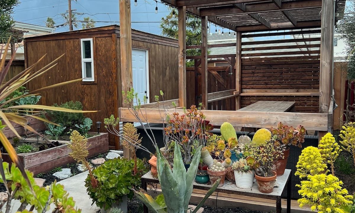 Photo of Outdoor in Ocean Beach