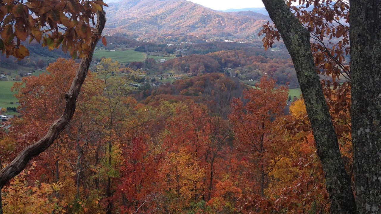 Photo of Others in Waynesville