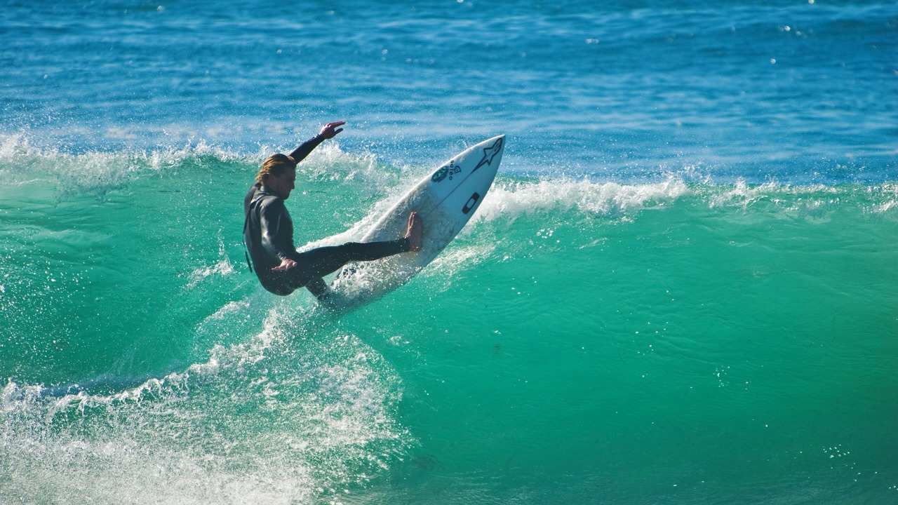 Photo of Others in Mission Beach