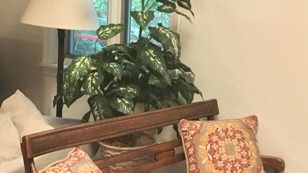 Photo of Others in Monterey
