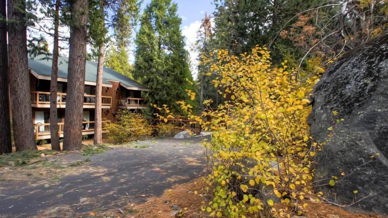 Photo of Outdoor in Yosemite West