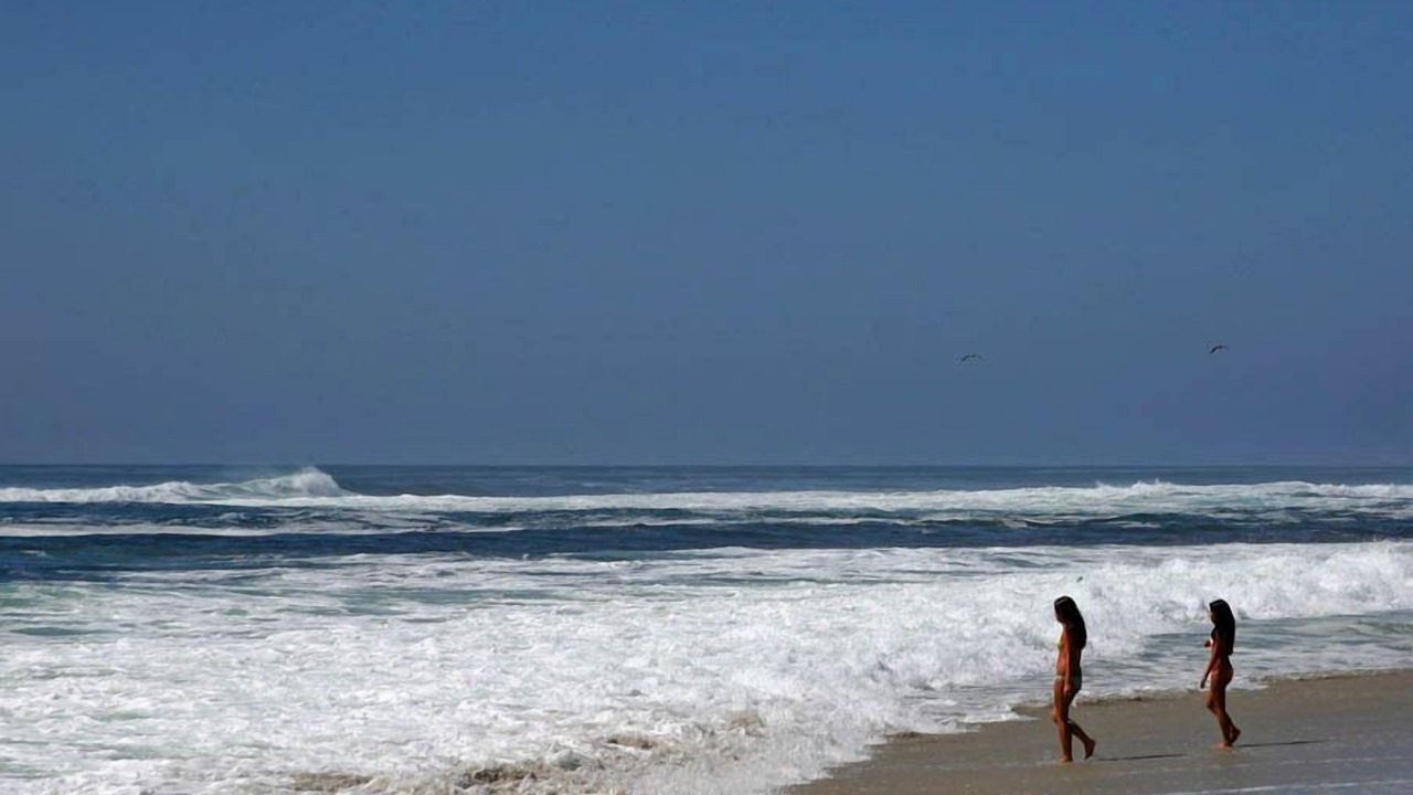 Photo of Others in La Jolla Shores