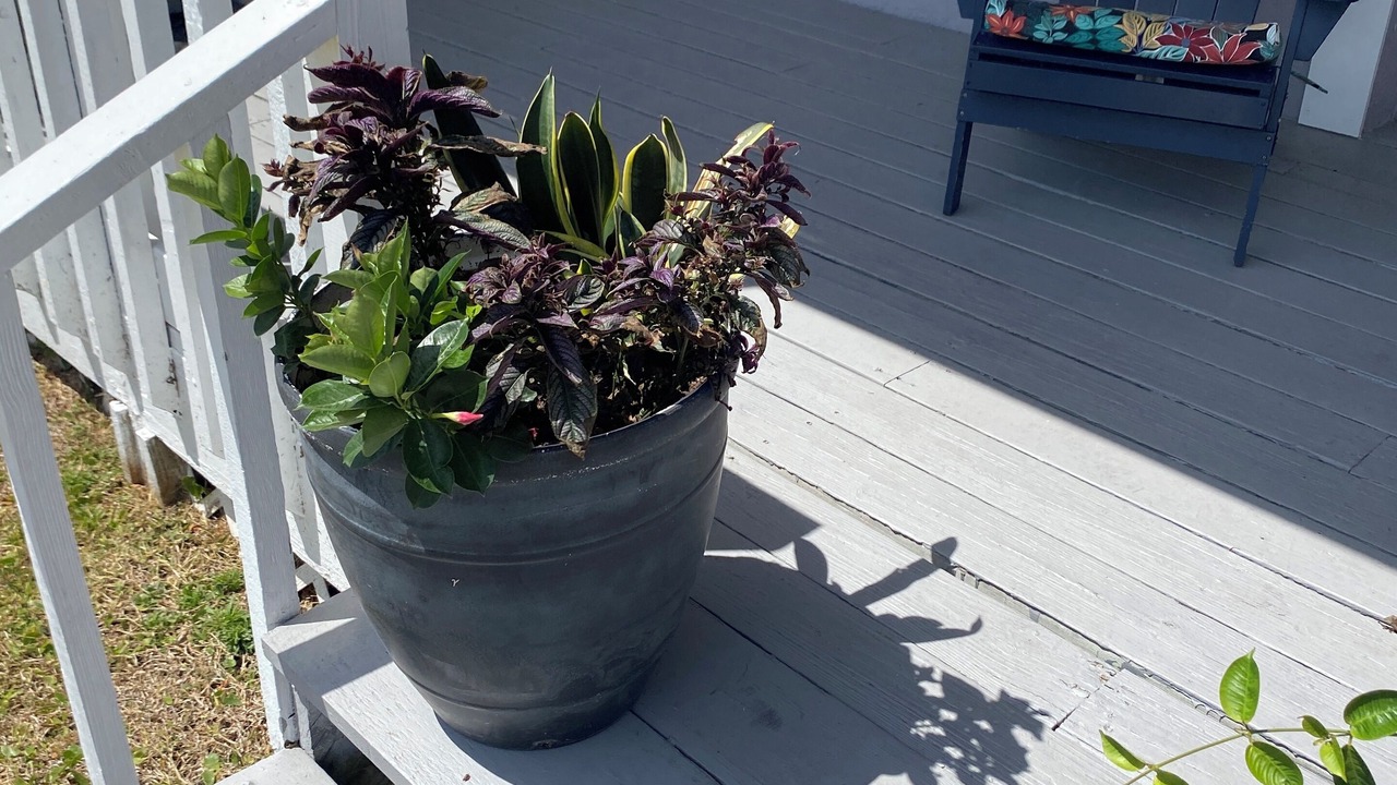 Photo of Patio Balcony in New Smyrna Beach