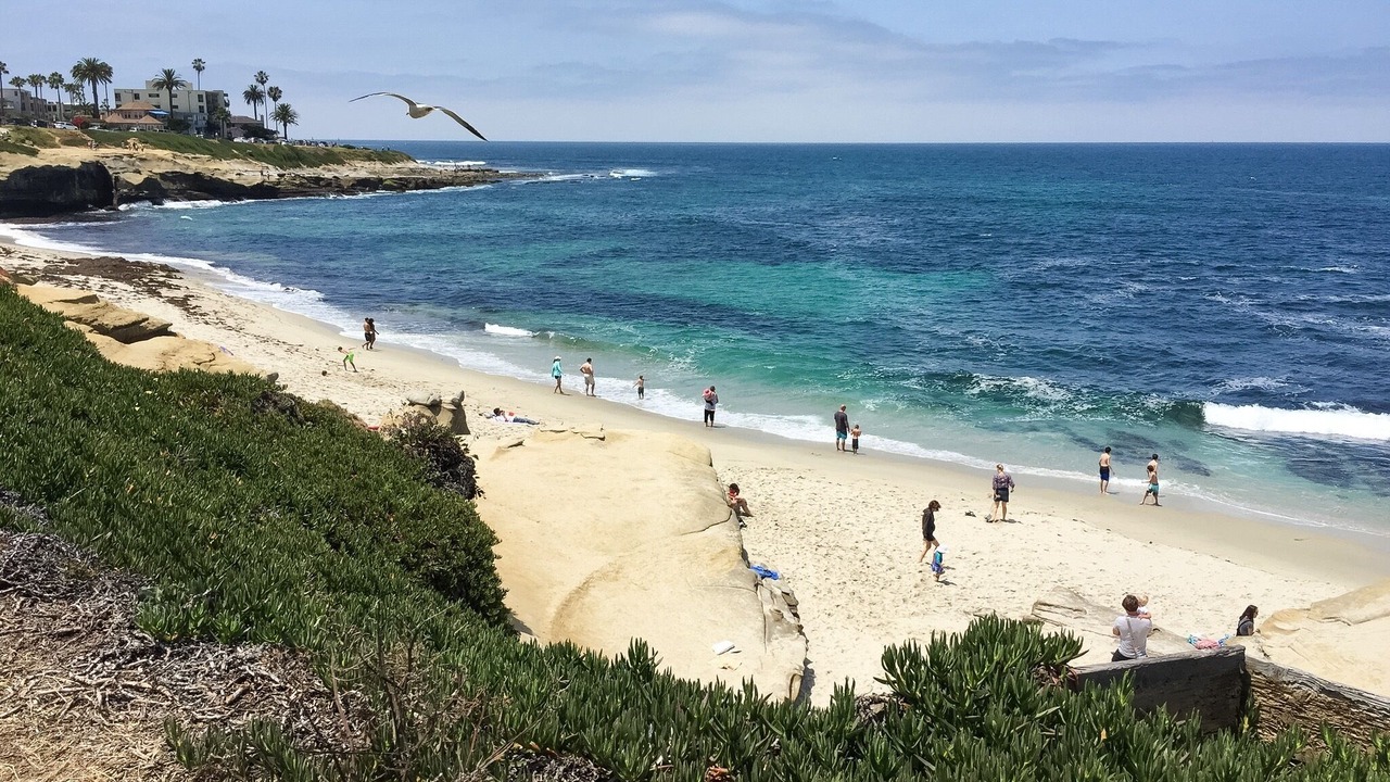 Photo of Others in Village of La Jolla