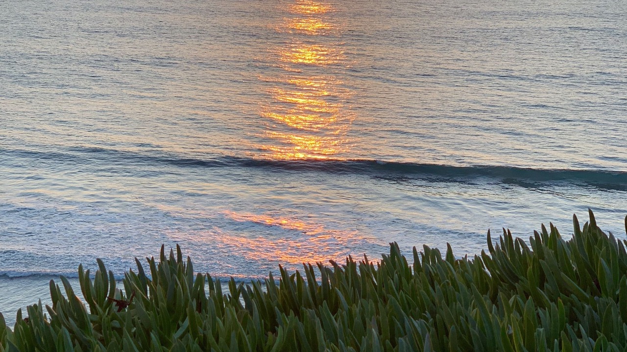 Photo of Others in Olde Solana Beach