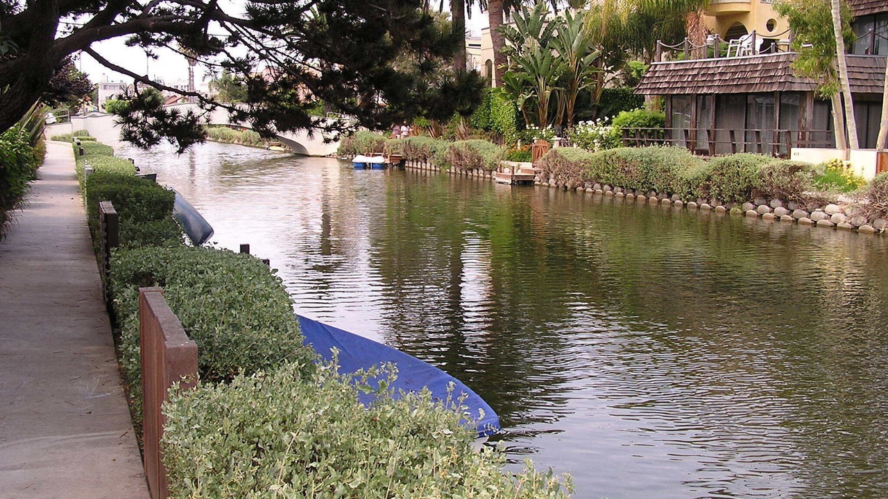 Photo of Others in Venice Canals