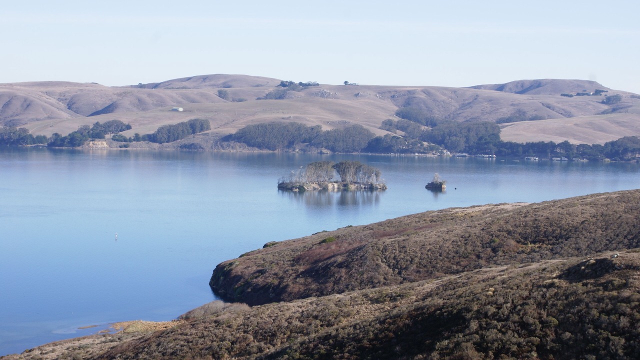Photo of Others in Point Reyes Station