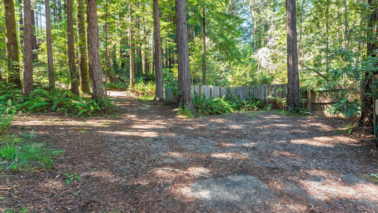 Photo of Outdoor in Sea Ranch