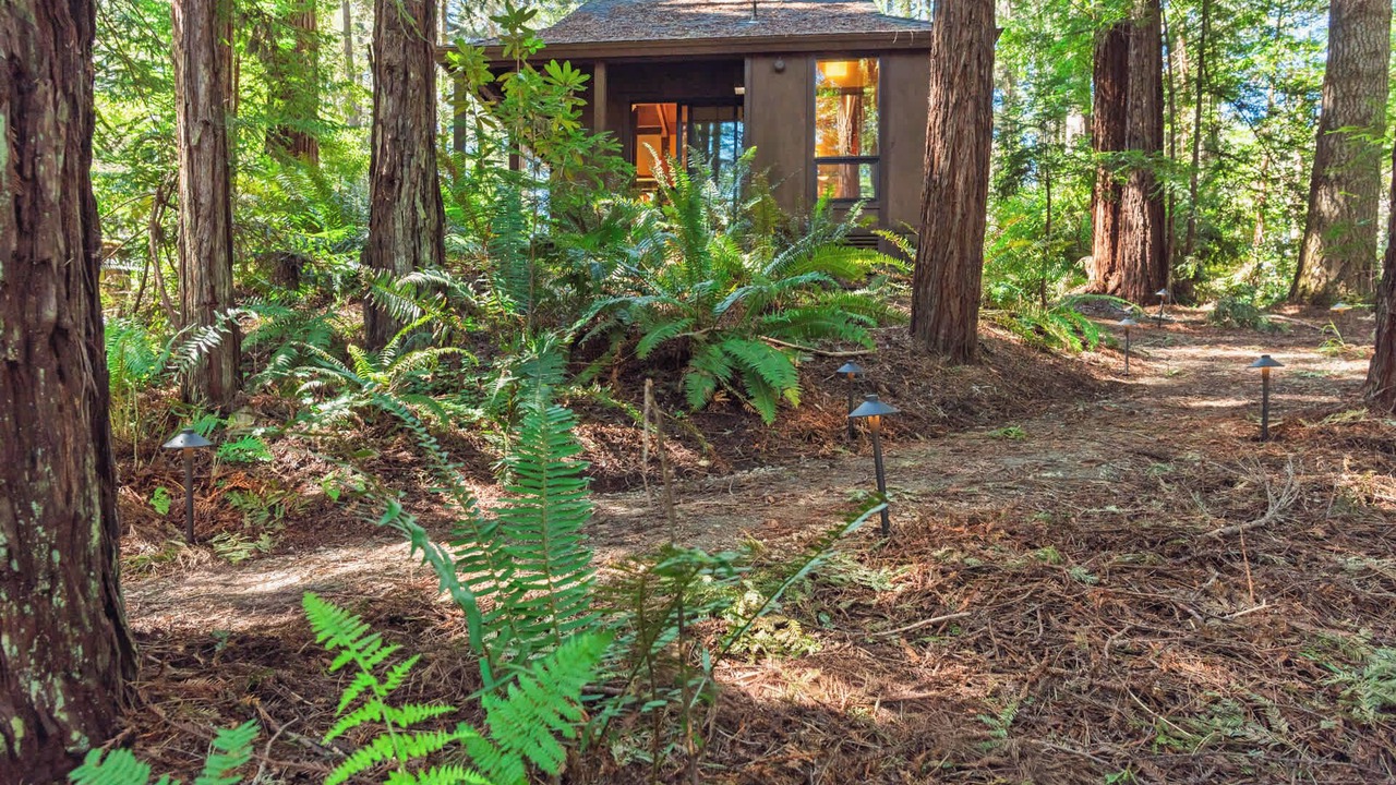 Photo of Others in Sea Ranch