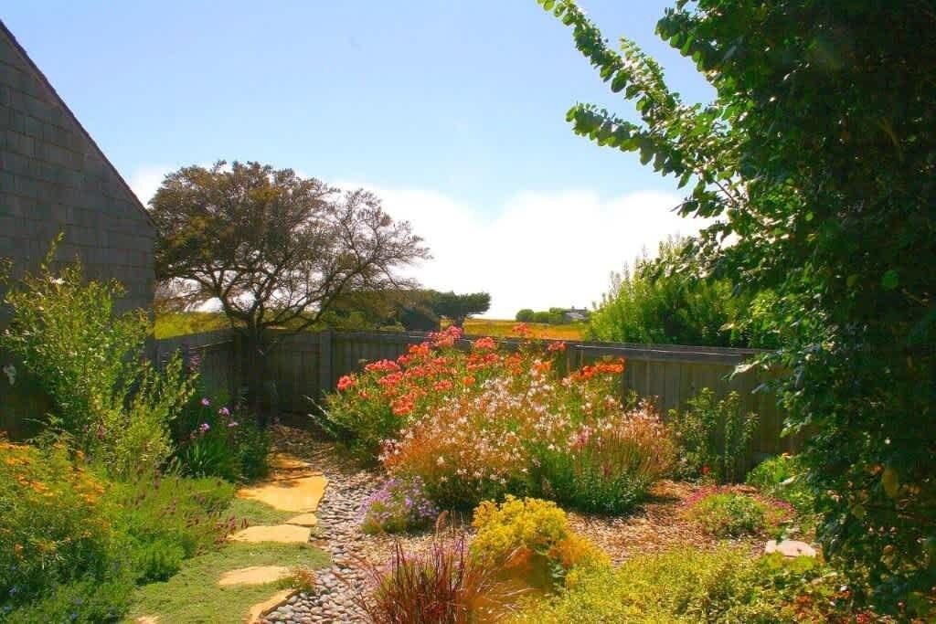 Photo of Outdoor in Sea Ranch