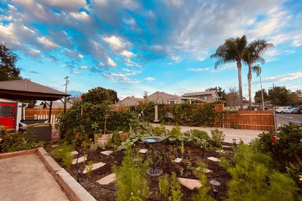 Photo of Outdoor in Lemon Grove