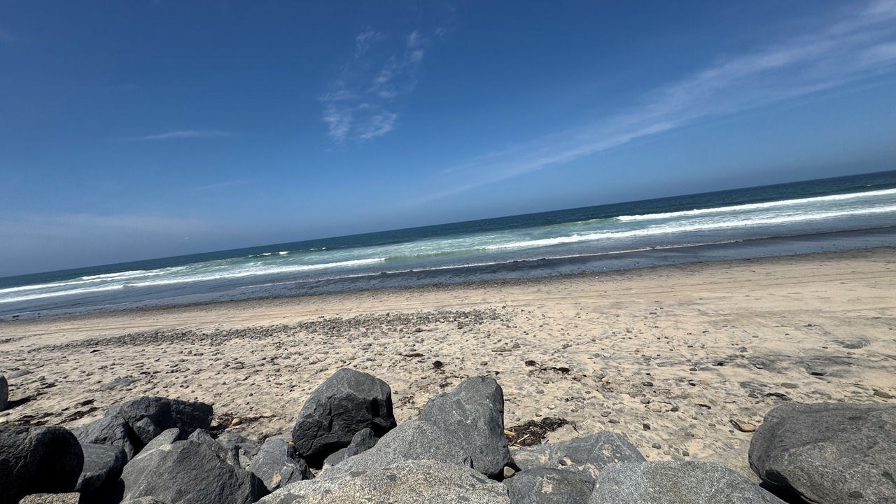 Photo of Others in Imperial Beach