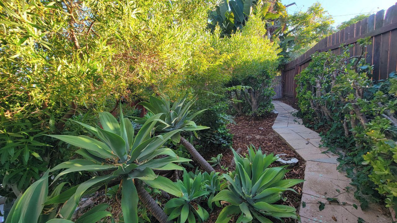 Photo of Outdoor in North Park