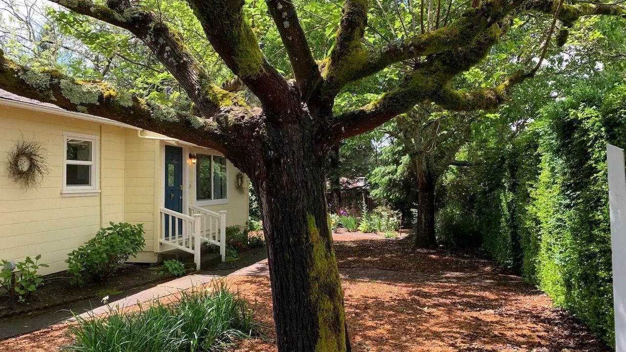 Photo of Outdoor in Graton