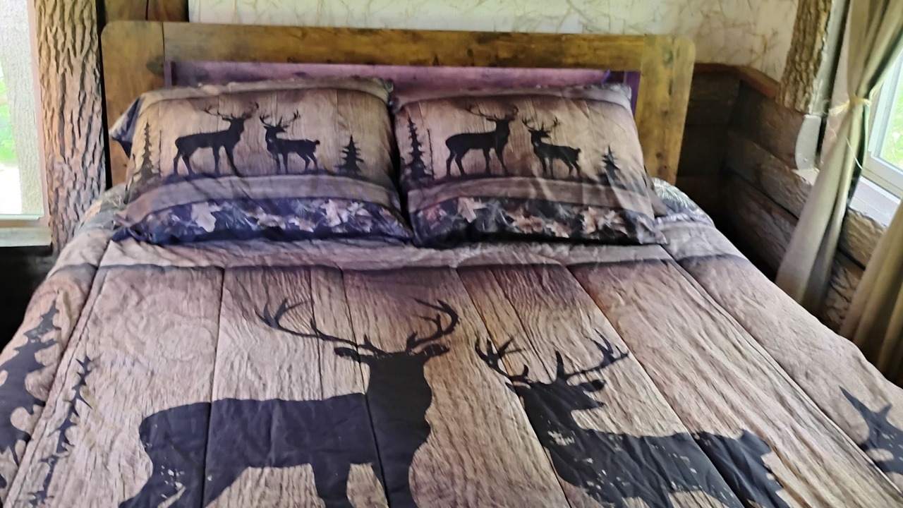 Photo of Bedroom in Frontier
