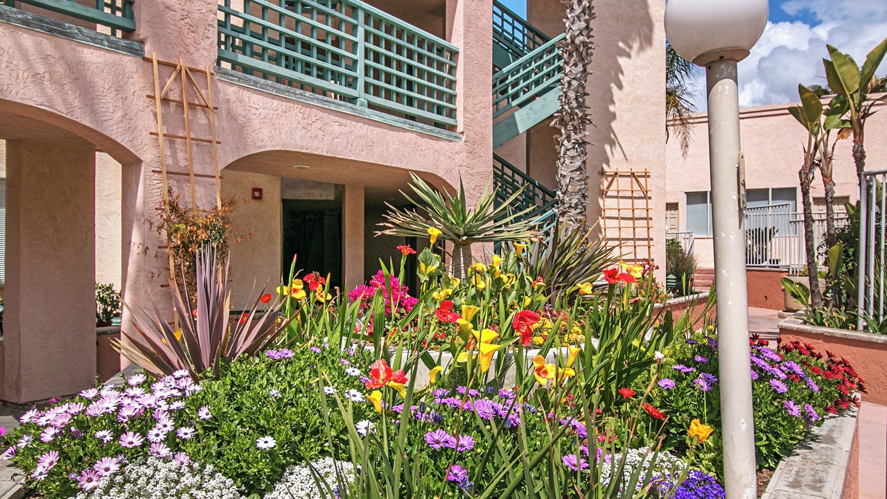 Photo of Outdoor in Imperial Beach