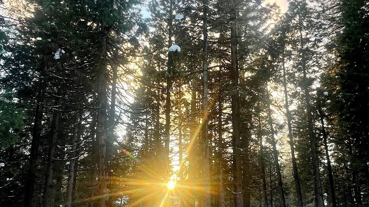 Photo of Outdoor in Lake Almanor West
