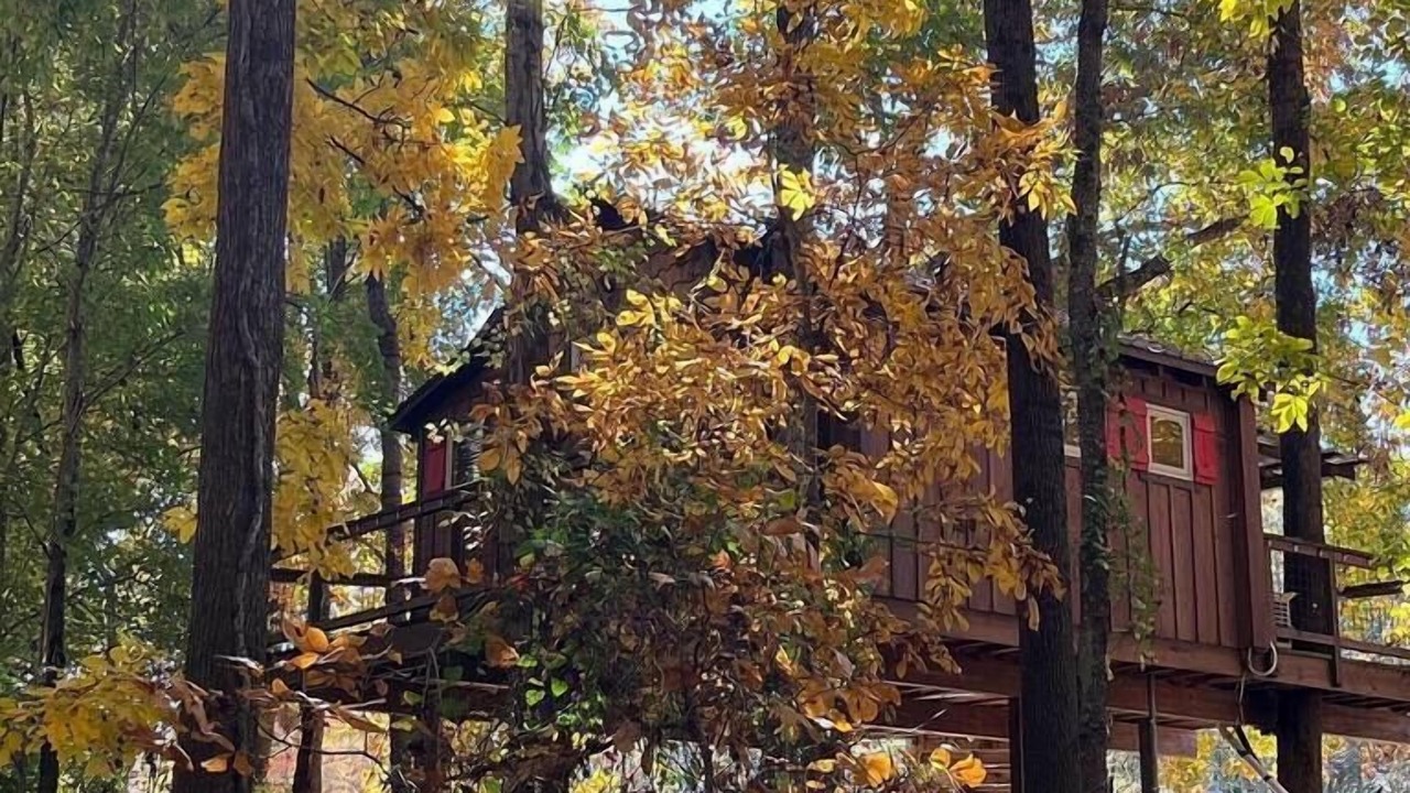 Photo of Others in China Grove