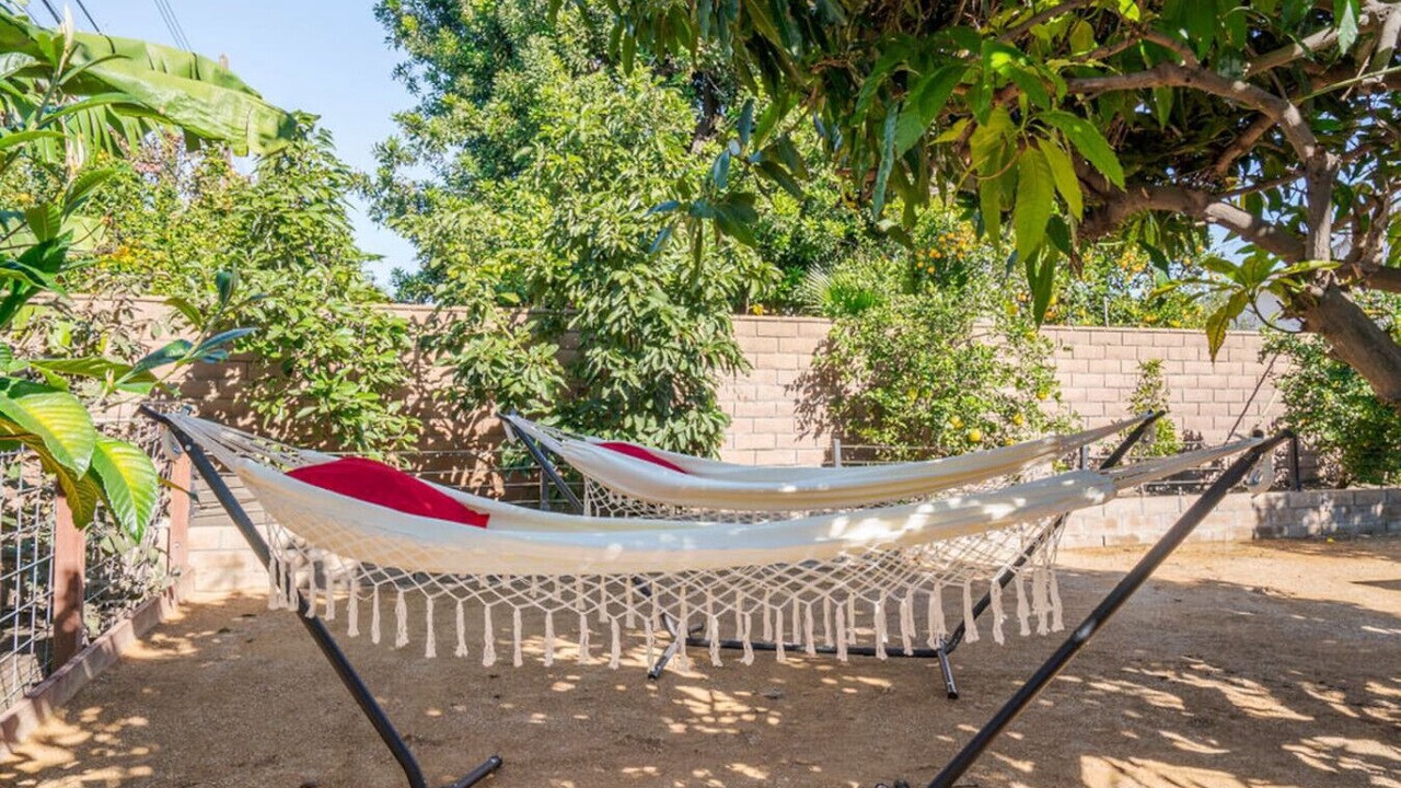 Photo of Outdoor in Sherwood Forest and Thistle Development