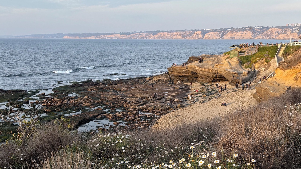 Photo of Others in Village of La Jolla