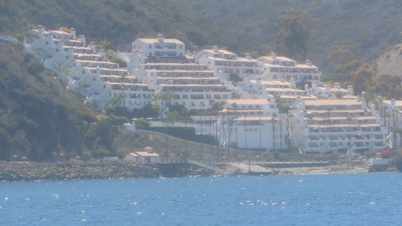 Photo of Others in Avalon