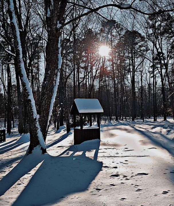 Photo of Others in McLeansville