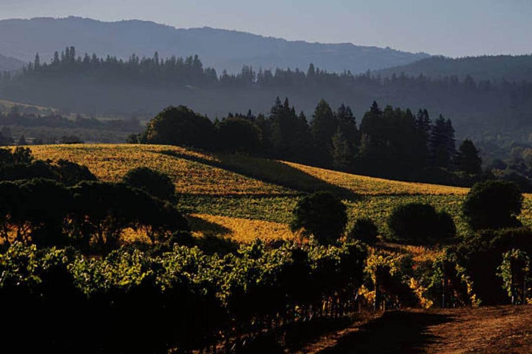 Photo of Others in Anderson Valley