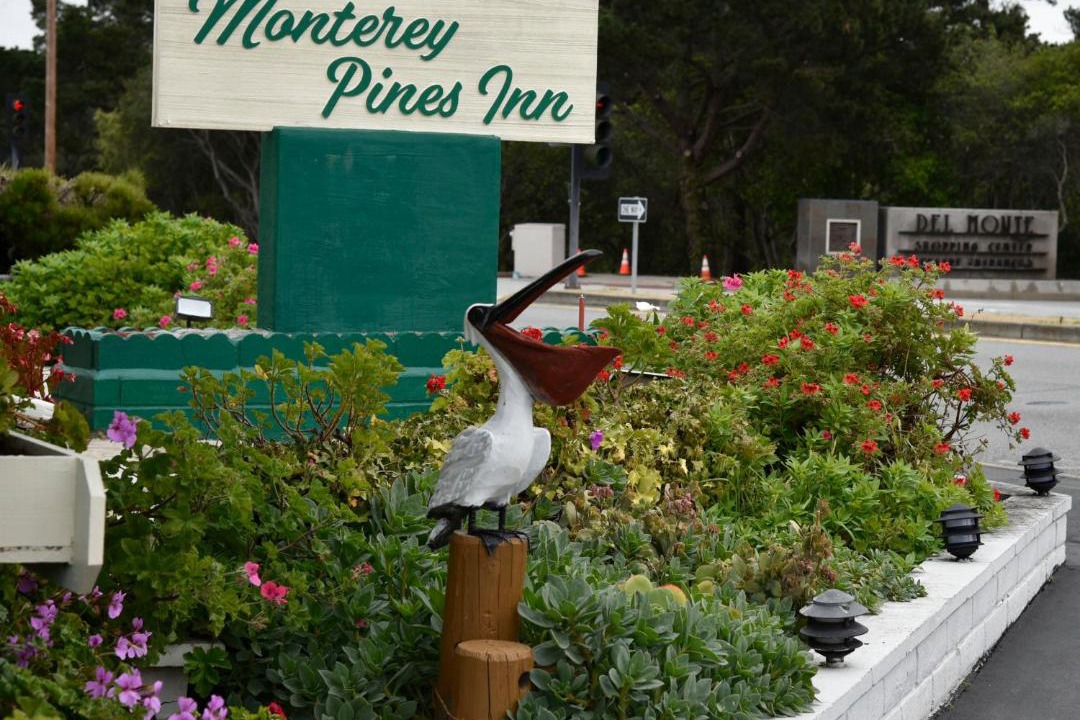 Photo of Others in Munras Avenue