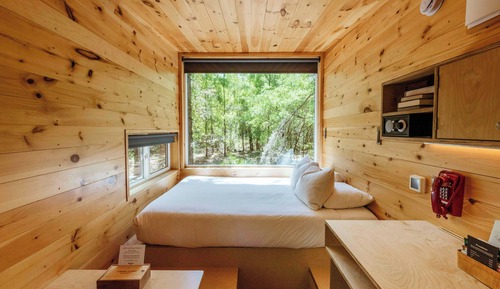 Suite, 1 Queen Bed
